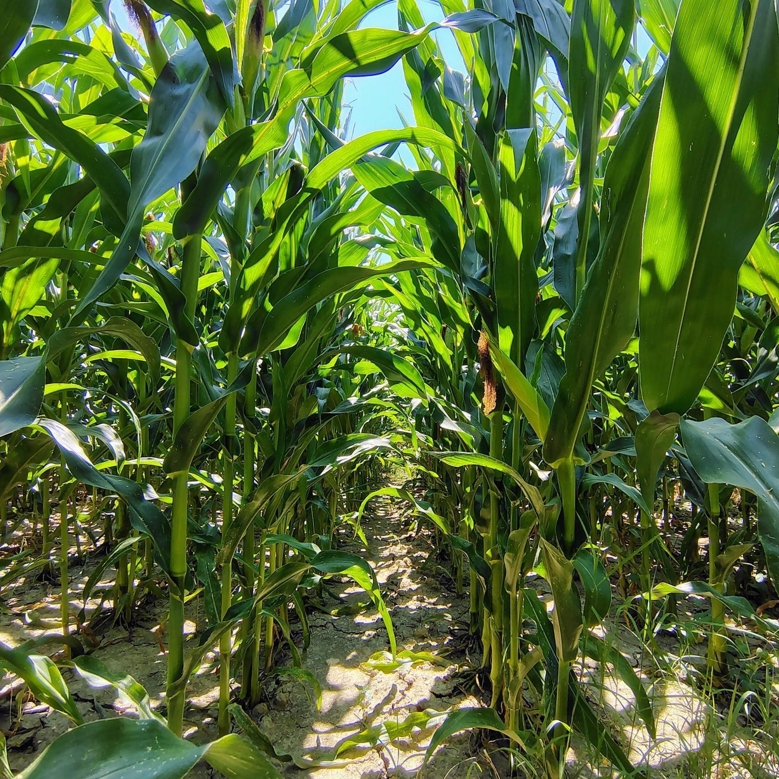 Turismo rurale - immagine 5