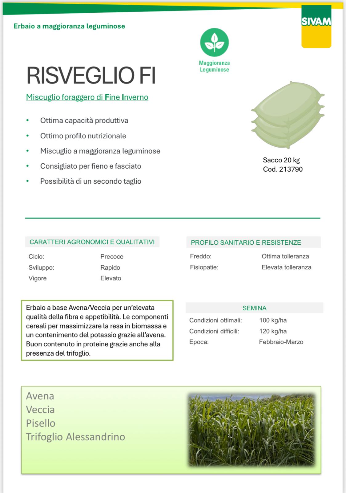 Risveglio FI