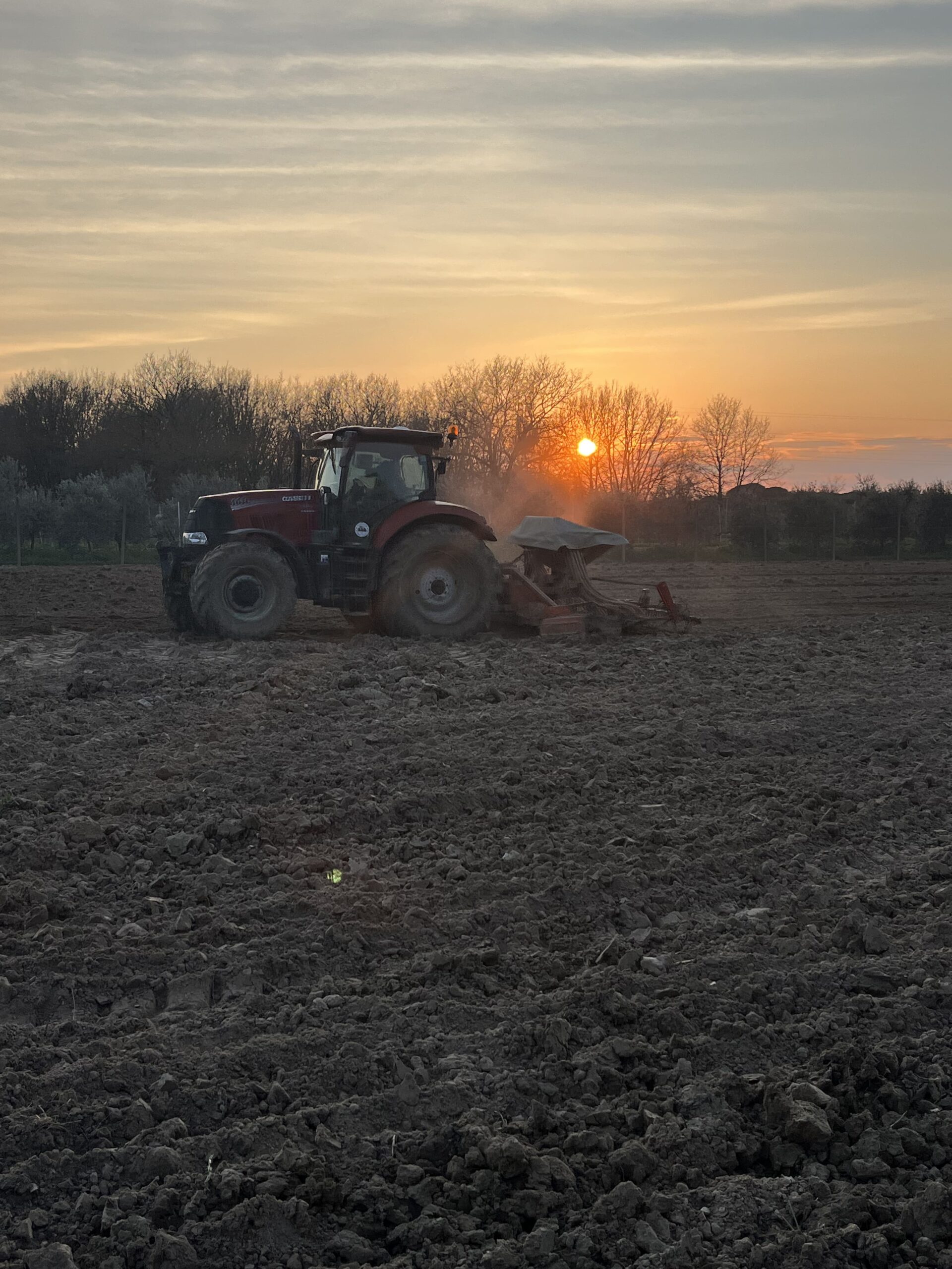 Particolare del territorio del Trasimeno
