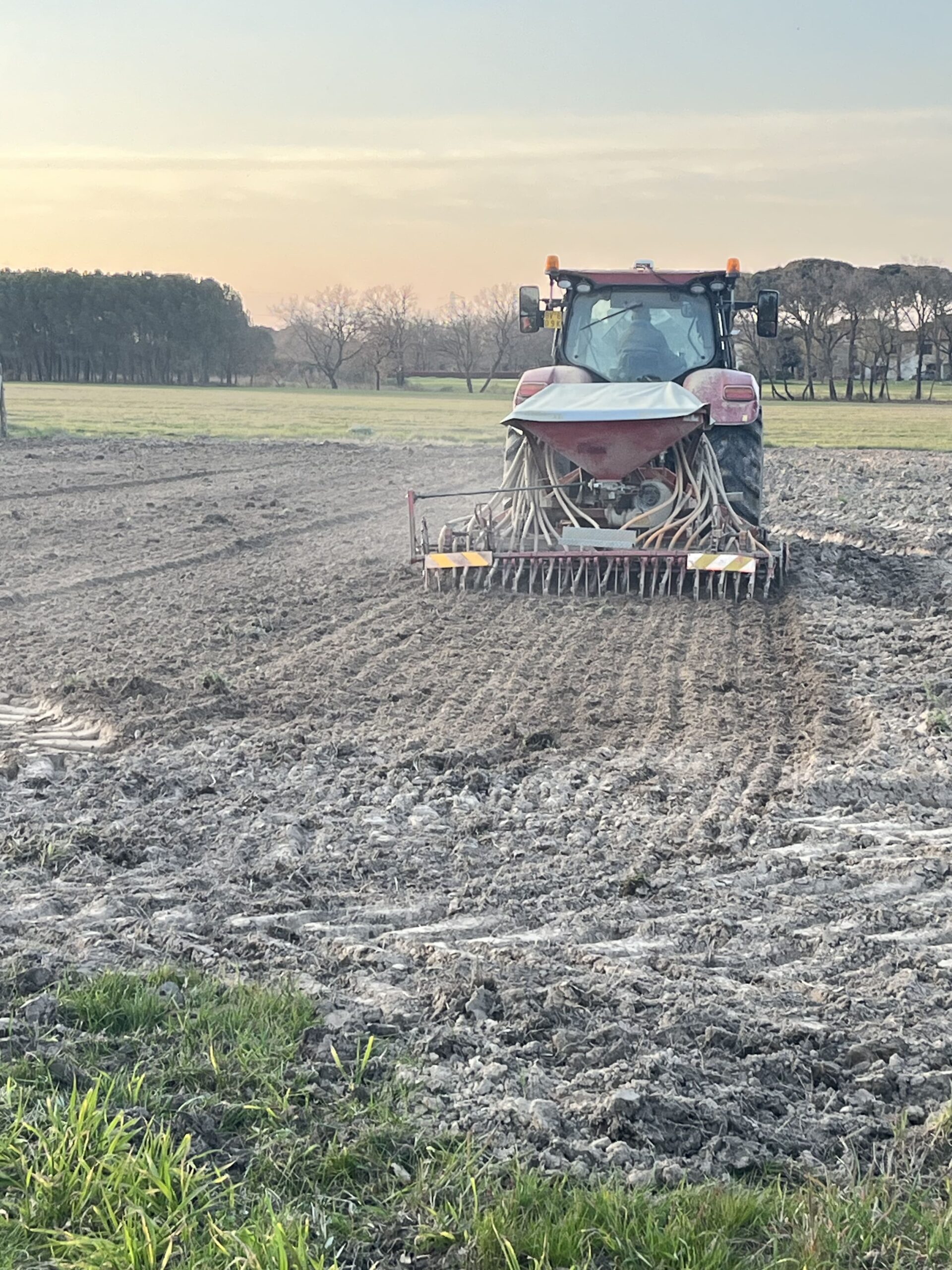 Vista dell’azienda agricola alla Piana