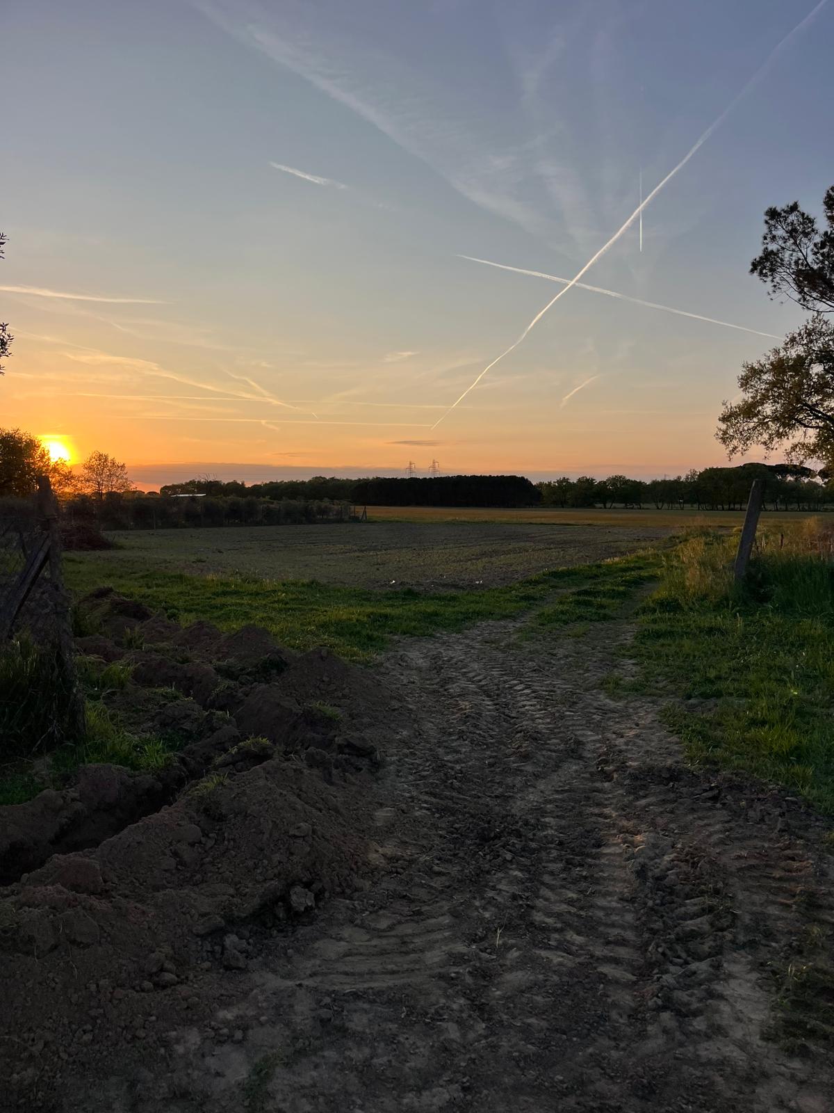 Immagine azienda agricola alla Piana
